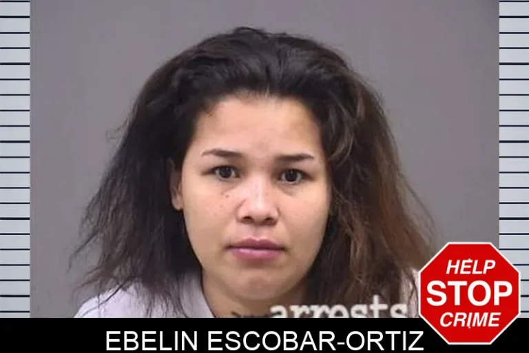 Ebelin Escobar-Ortiz