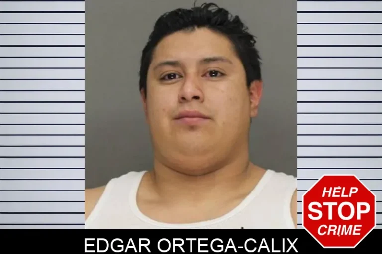 Edgar Ortega-Calix