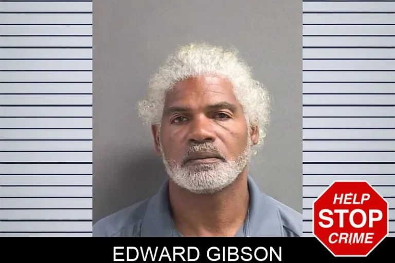 Edward Gibson