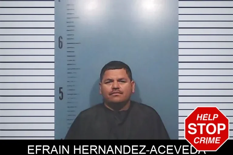 Efrain Hernandez-Aceveda