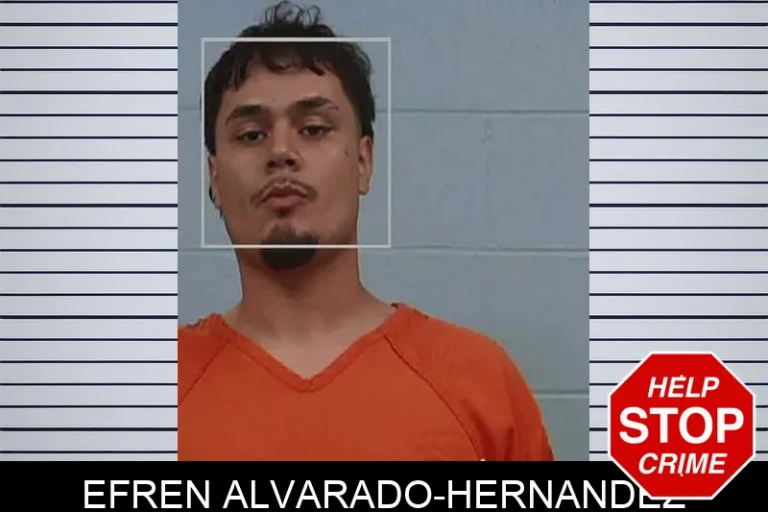 Efren Alvarado-Hernandez