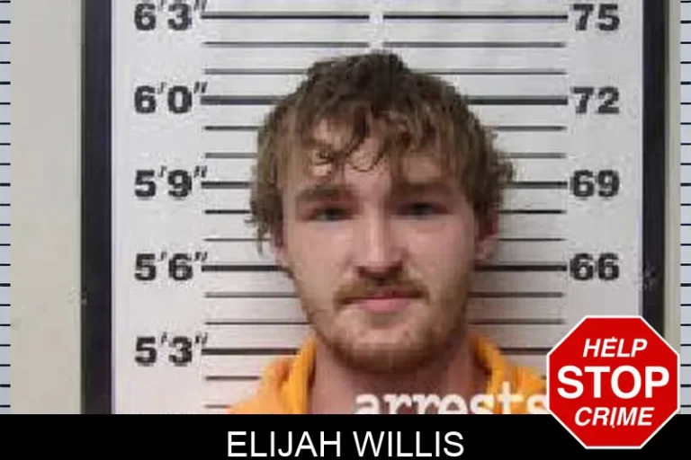 Elijah Willis