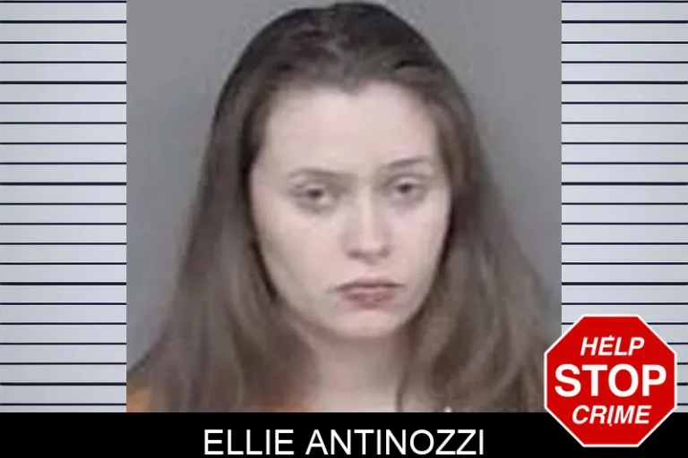 Ellie Antinozzi