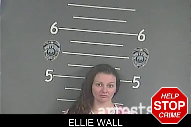 Ellie Wall