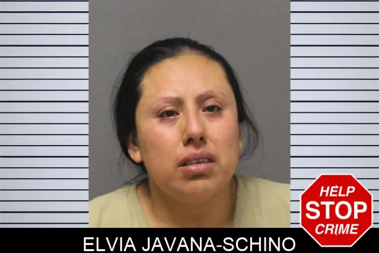 Elvia Javana-Schino