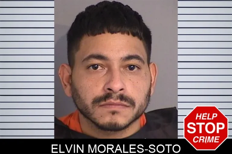 Elvin Morales-Soto