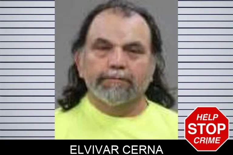 Elvivar Cerna