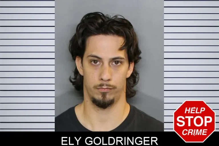 Ely Goldringer