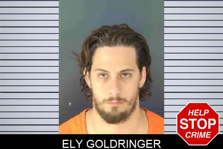 Ely Goldringer