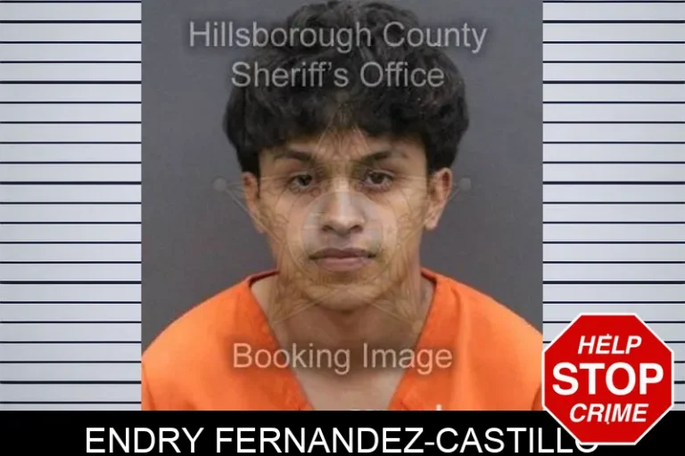 Endry Fernandez-Castillo