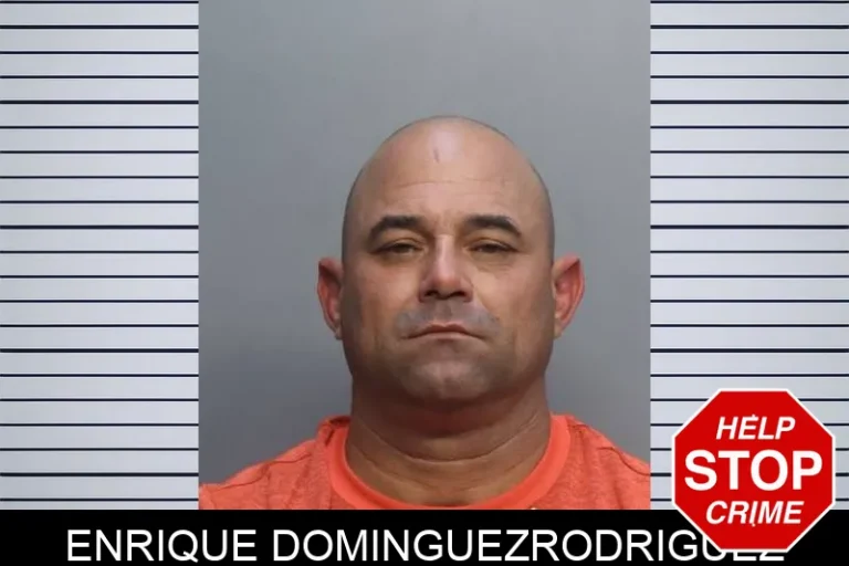 EnriquE DominguEzrodriguEz