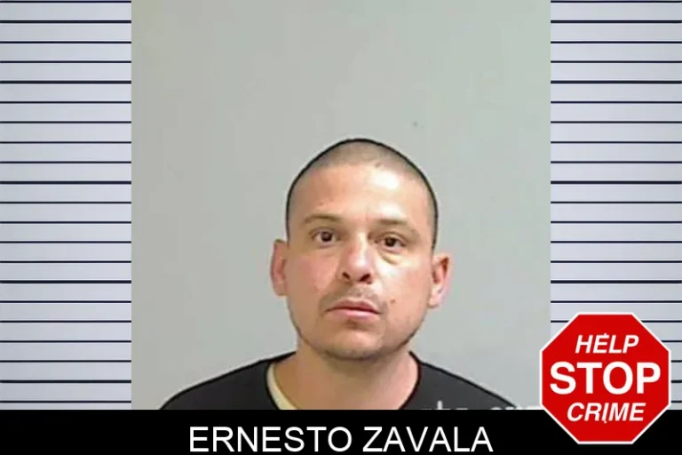 Ernesto Zavala