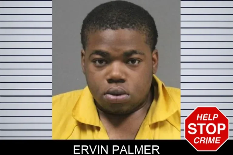 Ervin Palmer