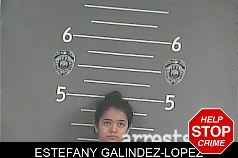 Estefany Galindez-Lopez