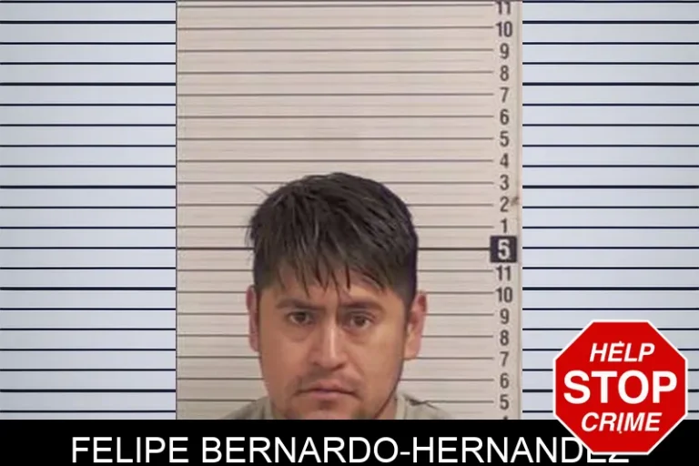 Felipe Bernardo-Hernandez