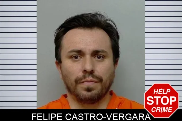 Felipe Castro-Vergara