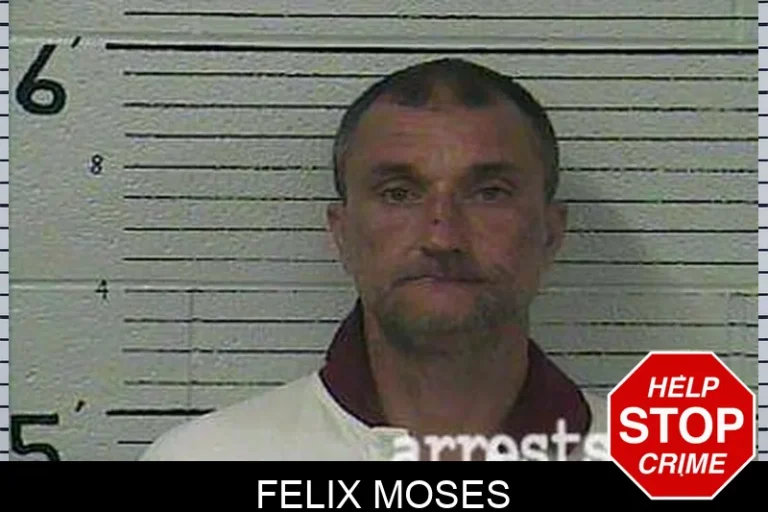 Felix Moses