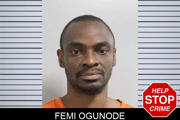 Femi OguNode