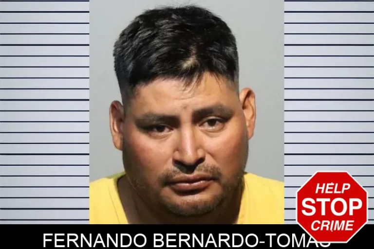 Fernando Bernardo-Tomas