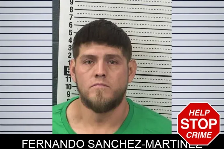 Fernando Sanchez-Martinez