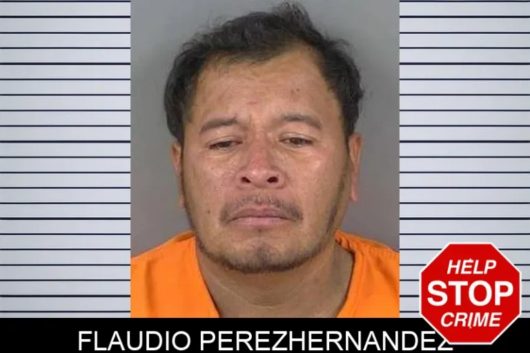 FlauDio Perezhernandez