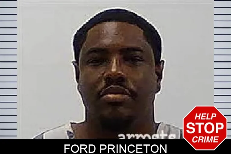 Ford Princeton