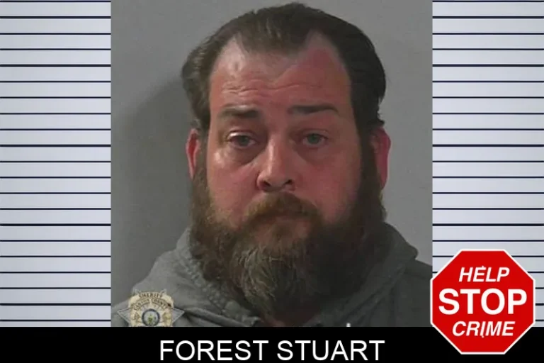 Forest StuArt
