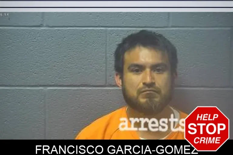 Francisco Garcia-Gomez