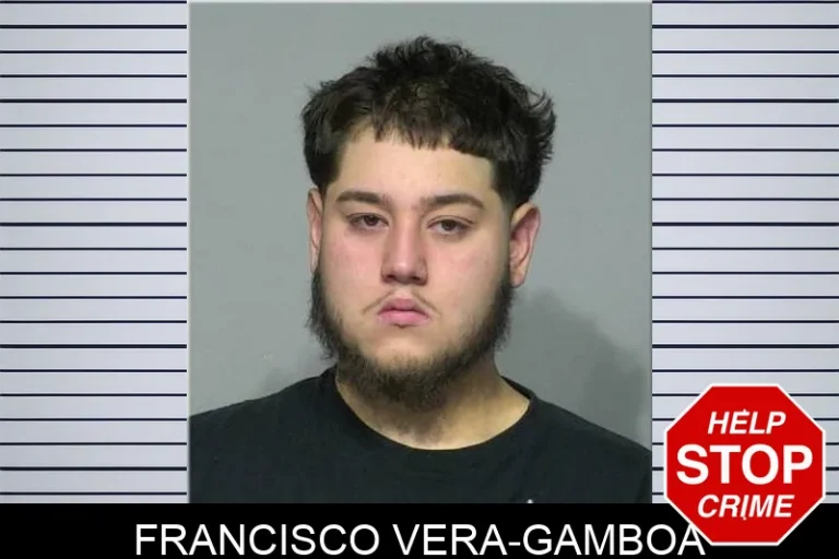 Francisco Vera-Gamboa