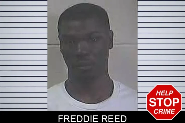 Freddie Reed