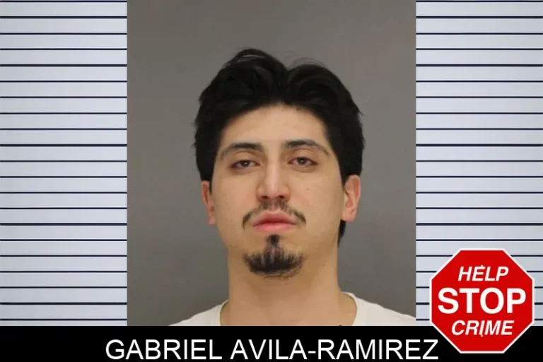 Gabriel Avila-Ramirez
