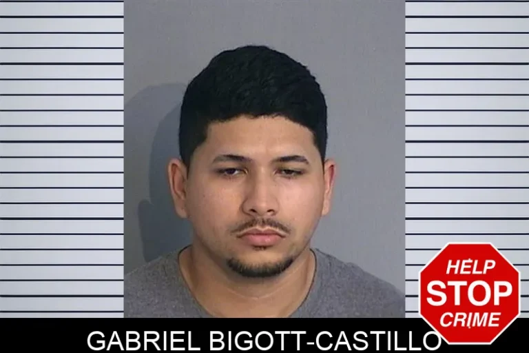 Gabriel Bigott-Castillo