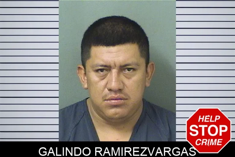 Galindo Ramirezvargas