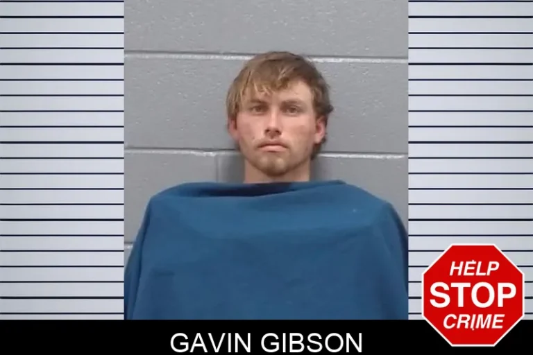 Gavin Gibson