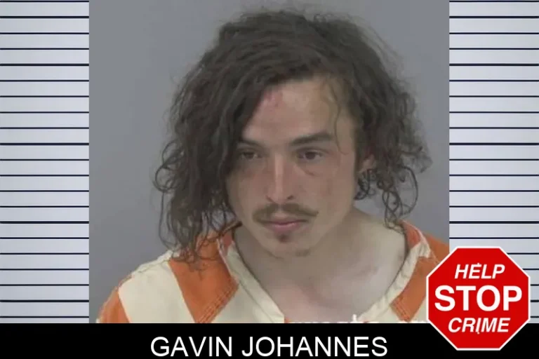 Gavin Johannes