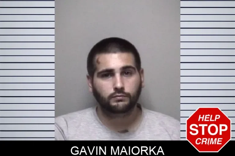 Gavin Maiorka