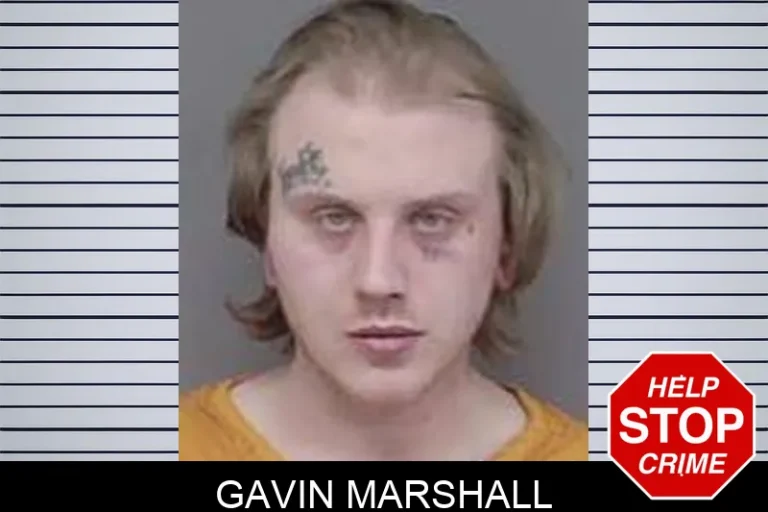 Gavin Marshall