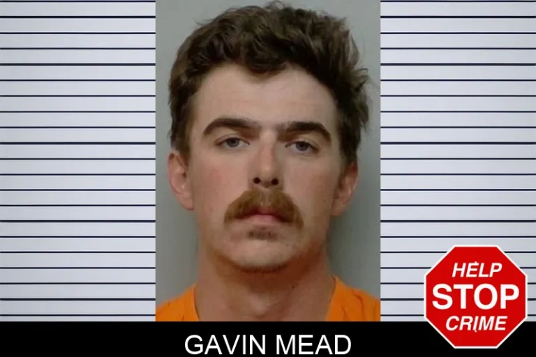 Gavin Mead