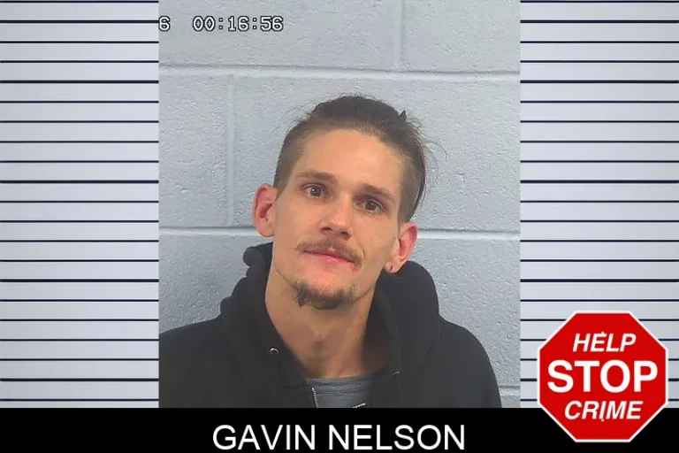 Gavin Nelson