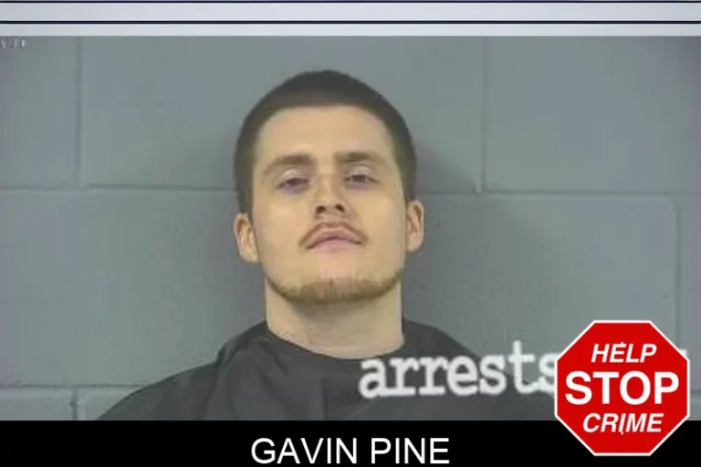 Gavin Pine
