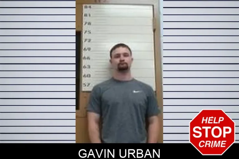 Gavin URban