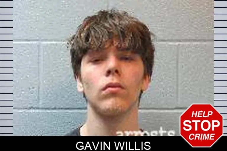 Gavin Willis