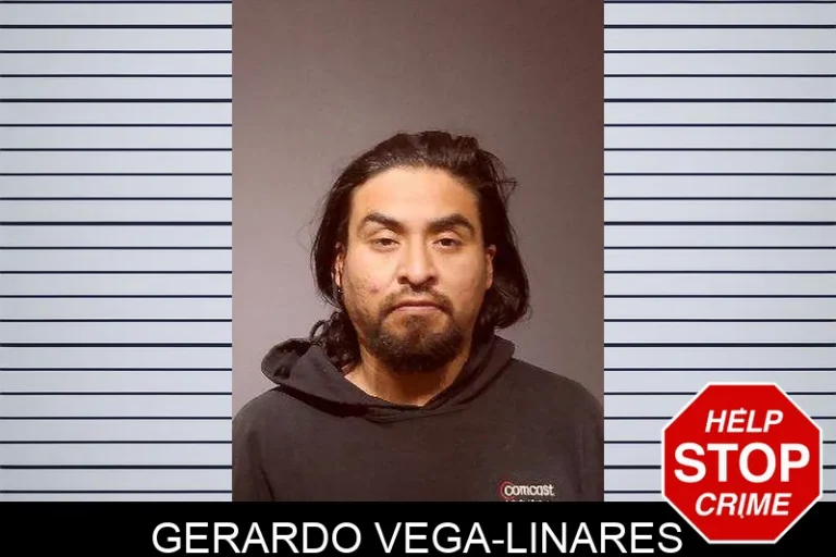 Gerardo Vega-Linares