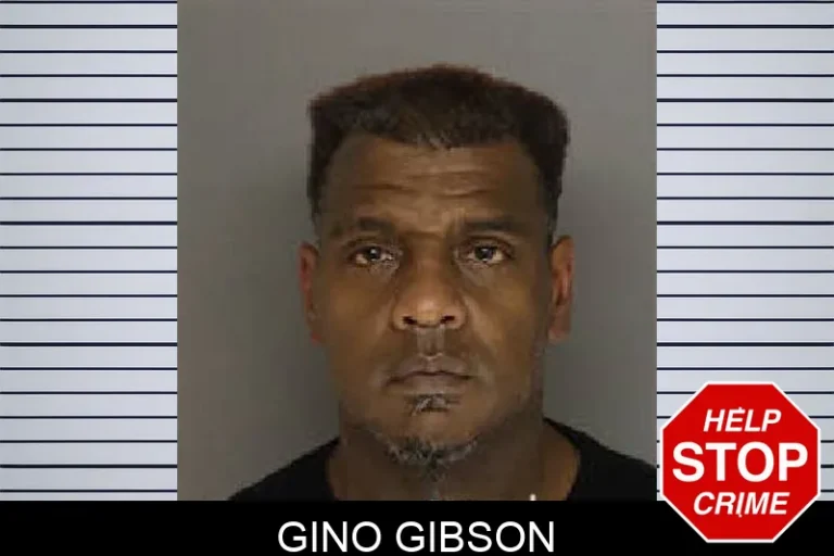 Gino Gibson