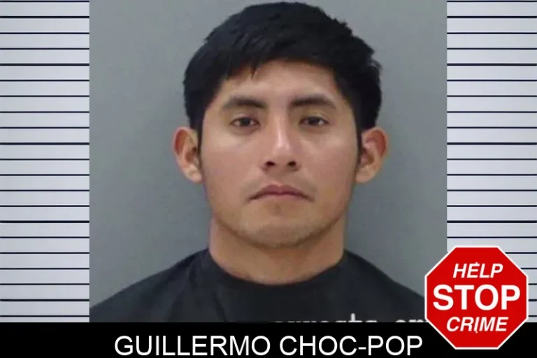 GuIllermo Choc-Pop