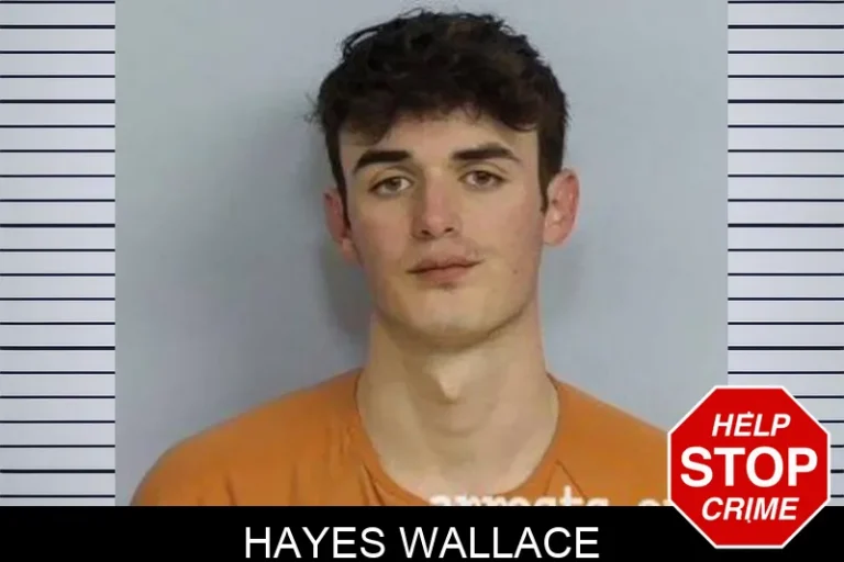 HAYES WALLACE