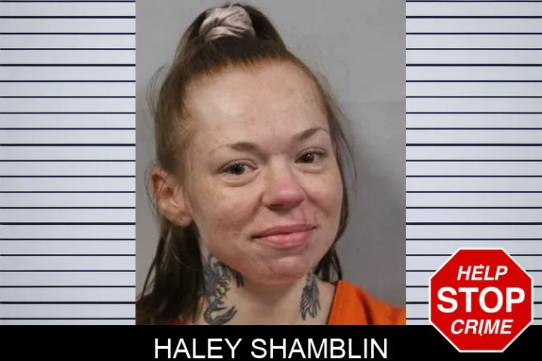 Haley Shamblin