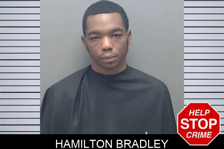 Hamilton Bradley