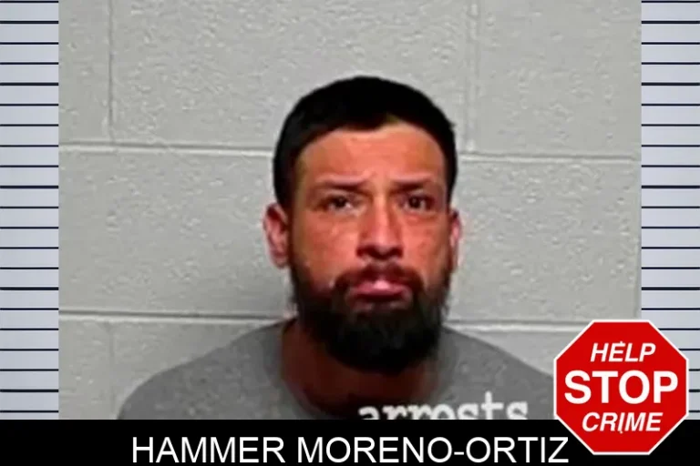 Hammer Moreno-Ortiz