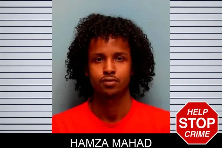 Hamza Mahad